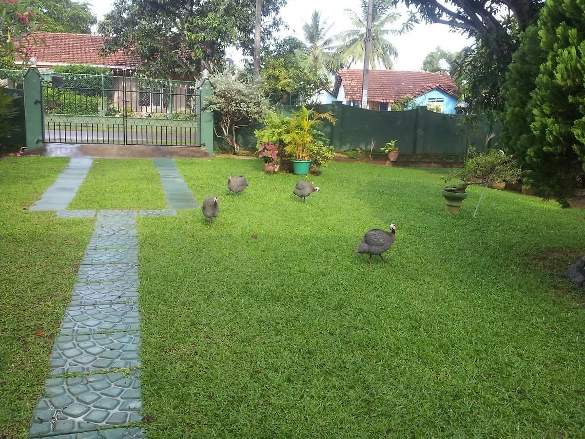 Villa Mama'S Hostel By Taprobane Negombo Sri Lanka